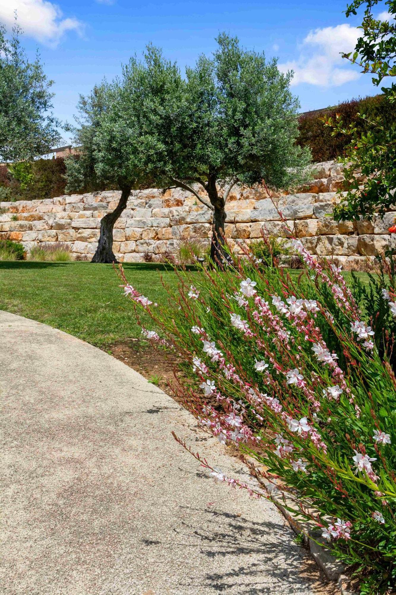 קארבואירו Vale De Milho Village חדר תמונה